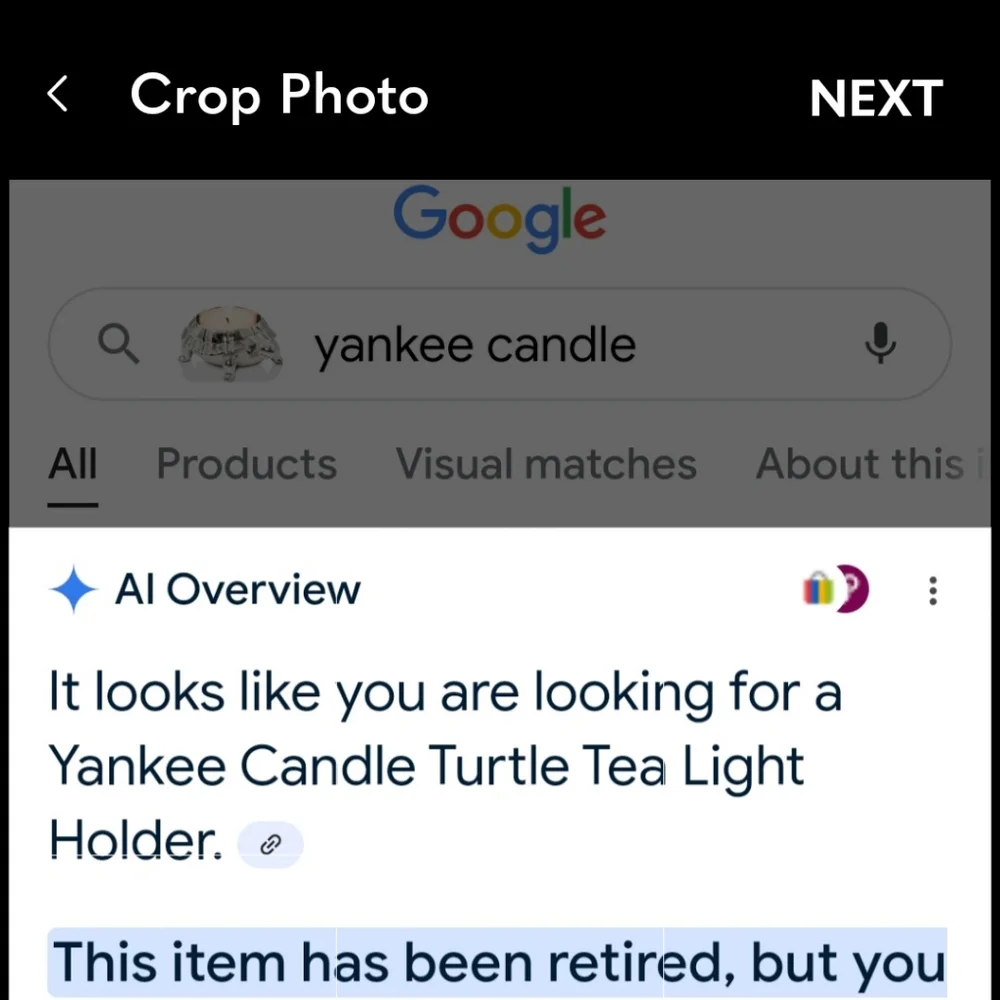 YANKEE CANDLE SILVER TURTLE TEALIGHT HOLDER BNWT RETIRED 2024